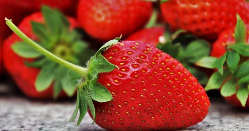 Dessert facile à base de fruits de saison : 15 idées gourmandes à tester