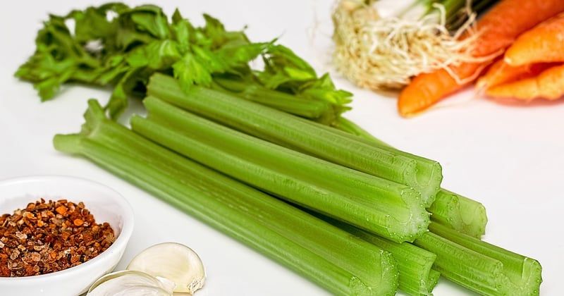 Tarte salée facile aux légumes : la recette express qui sauve les dîners